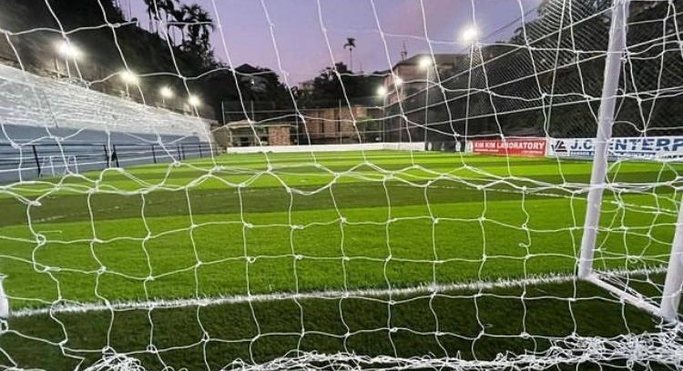 RDS Five A Side Turf RDS Five A Side Turf